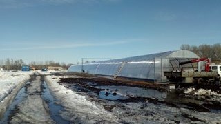 Купить сваи для теплицы в Боровичи - цена от производителя от 2284 руб